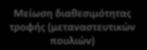 ενδιαιτήματος Κατασκευή τεχνητών φωλιών Εξάλειψη αρουραίων σε αποικίες