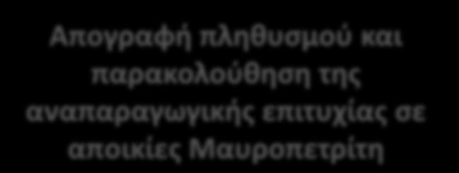 Απογραφή πληθυσμού και παρακολούθηση της