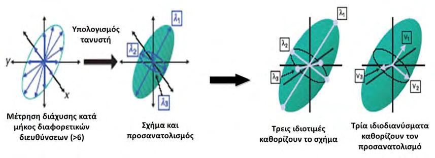 Εικόνα 1.2.5 (α) Ένα ανισότροπο μέσον το οποίο προσανατολίζεται σε γωνία 45 o ως προς τους άξονες x και y.