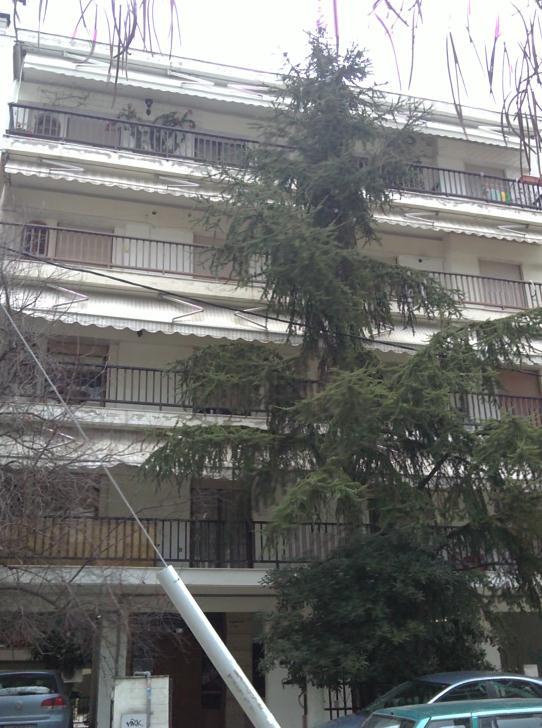 Ζ πνιπθαηνηθία δηαζέηεη ππισηή, πνπ ρξεζηκνπνηείηαη σο ρψξνο ζηάζκεπζεο γηα ηα νρήκαηα ησλ ελνίθσλ, θαζψο θαη ππφγεην. Ζ επηθάιπςή ηνπ θηηξίνπ είλαη κε επίπεδν δψκα.
