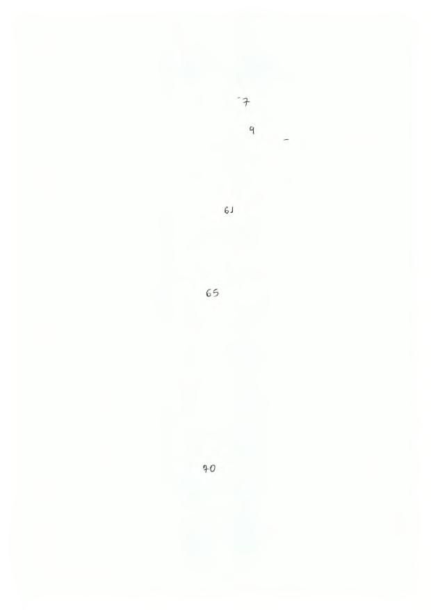 3.5.1. Ελληνικά Πιστοποιητικά (ΕΛΠΙΣ) - 5 Μ- 3.5.2. Μερίδια Επενδυτικών Κεφαλαίων Αναδυόμενων Αγορών 5 6 ~ 3.5.3. Μετοχές Εταιριών Διαχείρισης Χαρτοφυλακίων Αναδυόμενων Αγορών (Ε.Χ.Α.Α.) -5 6-3.6. Εισαγωγή ομολογιών στο Χ.