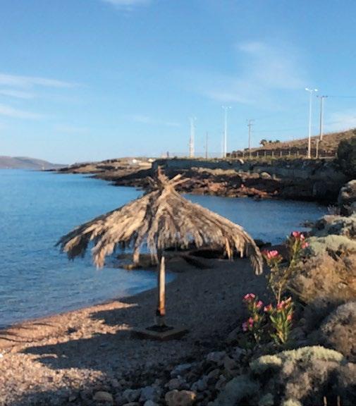ΚΑΤΑΛΛΗΛΑ (Κ) ΔΕΙΓΜΑΤΟ- Ε Ν ΟΡΙΟ 250/100 ml νερού ΟΡΙΟ 100/100 ΟΡΙΟ 50/100 ΑΚΑΤΑΛΛΗΛΑ ΛΗΨΙΑΣ (οδηγία 2006/7/ΕΚ) ml νερού ml νερού (Α) 1 ΣΧΙΝΙΑΣ ΠΑΡΑΛΙΑ ΠΕΥΚΑ ΑΡΧΗ 24,0303.1 38,0836.