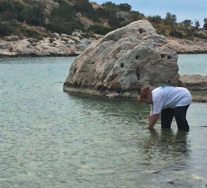 ΑΚΤΗ ΒΟΥΛΙΑΓΜΕΝΗ Β ΕΙΣΟΔΟΣ 23,46319 37,48455 10:45 96 100 0 Α 6 ΑΚΤΗ ΒΟΥΛΙΑΓΜΕΝΗ (Β ΠΛΑΖ) 23,46556 37,48349 11:16 118 125 5 Α 7 ΠΑΡΑΛΙΑ ΧΕΙΜΕΡΙΝΩΝ ΚΟΛΥΜΒΗΤΩΝ «ΠΟΣΕΙΔΩΝ» 23,47004 37,48306 11:26 116 85
