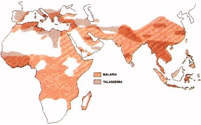 Talasémie a malária vo
