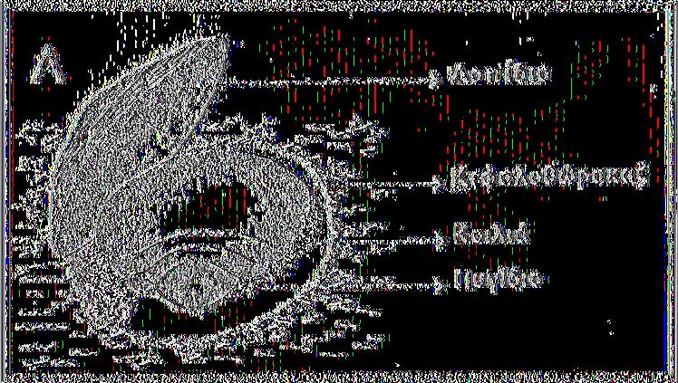 της