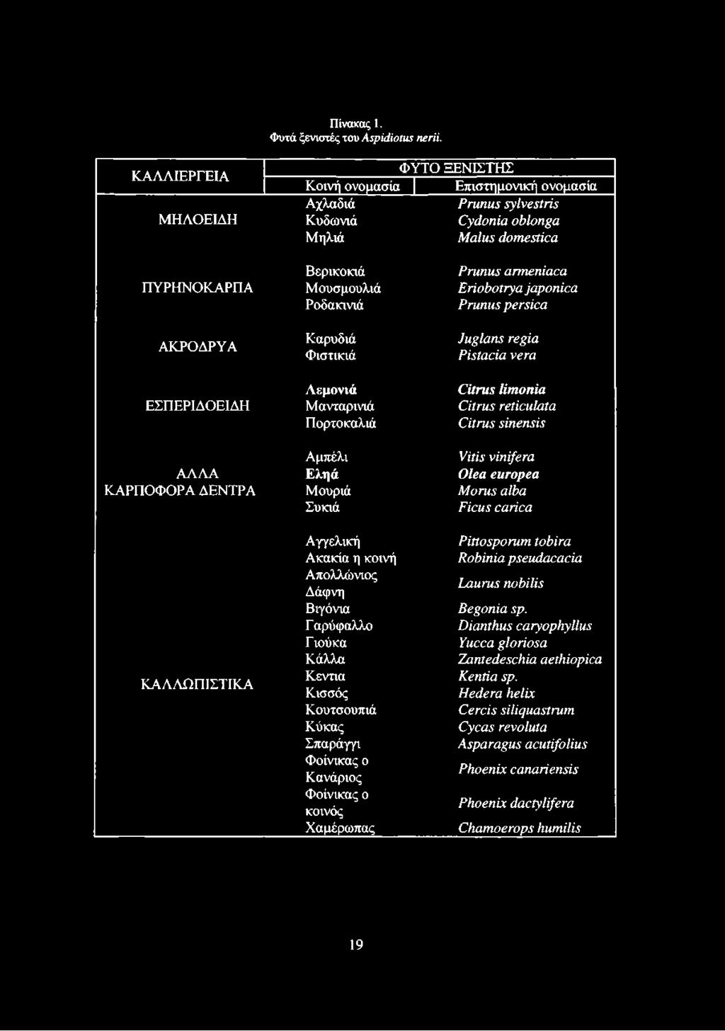 Eriobotrya japónica Ροδακινιά Prunus pérsica ΑΚΡΟΔΡΥΑ Καρυδιά Φιστικιά Juglans regia Pistacia vera Λεμονιά Citrus limonia ΕΣΠΕΡΙΔΟΕΙΔΗ Μανταρινιά Citrus reticulata Πορτοκαλιά Citrus sinensis Αμπέλι