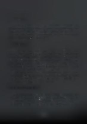 3.3.3. Νύμφες Το χρώμα της νύμφης είναι κιτρινόμαυρο και έχει σχήμα ρομβοειδές. Όλη η επιφάνεια του νυμφικού δερματίου καλύπτεται από τρίχες οι οποίες είναι πιο πυκνές στη νωτιαίο περιοχή.