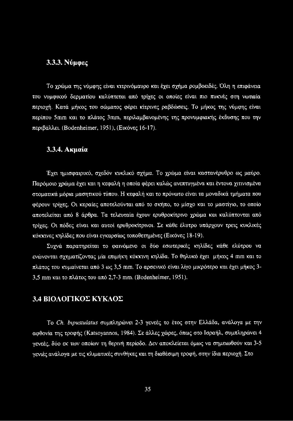 (Βοάεηΐιείπιοι, 1951), (Εικόνες 16-17). 3.3.4. Ακμαία Έχει ημισφαιρικό, σχεδόν κυκλικό σχήμα. Το χρώμα είναι καστανέρυθρο ως μαύρο.