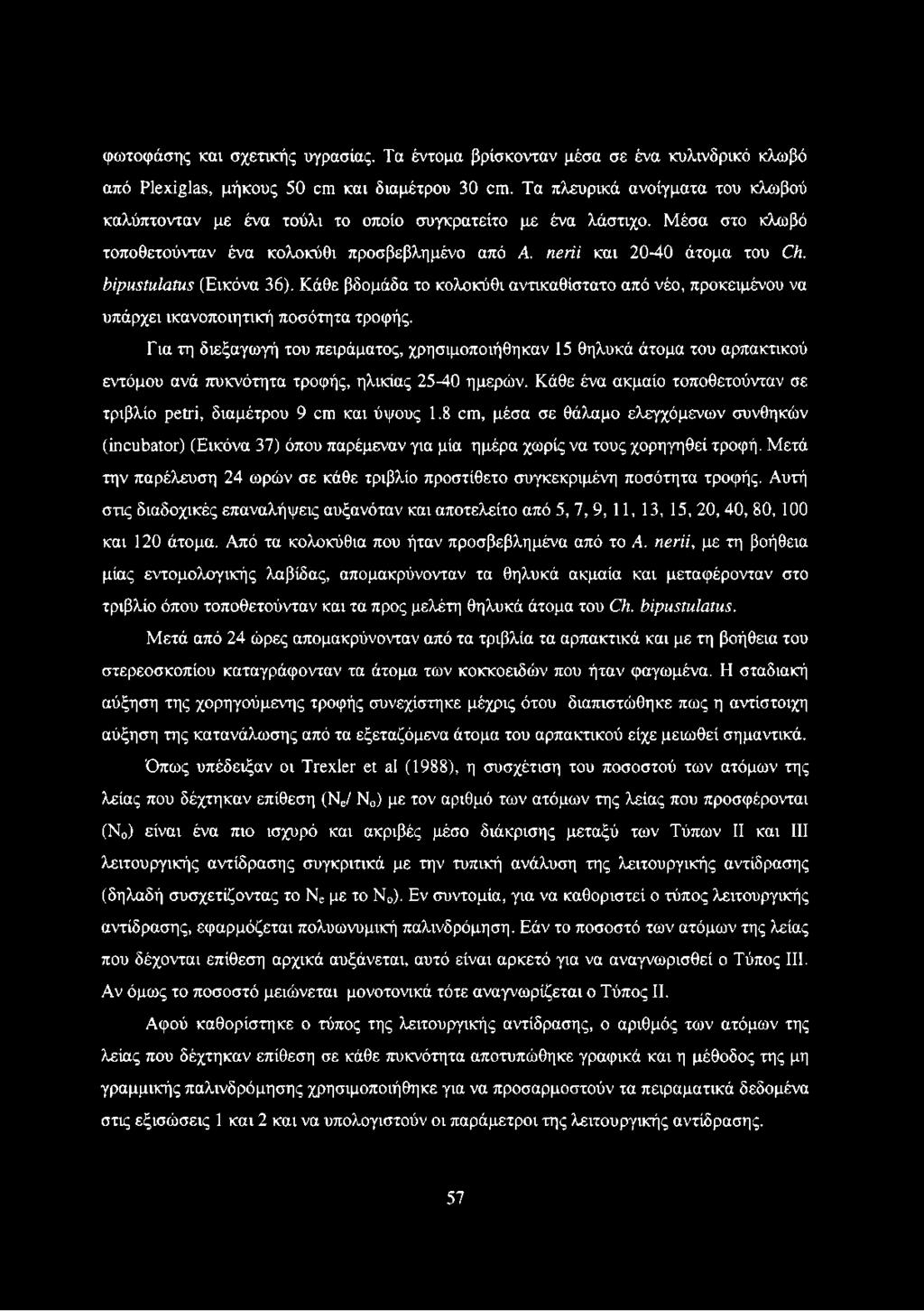 bipustulatus (Εικόνα 36). Κάθε βδομάδα το κολοκύθι αντικαθίστατο από νέο, προκειμένου να υπάρχει ικανοποιητική ποσότητα τροφής.