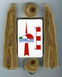 1991) 2. Εργαστήριο Εφαρμοσμένης Γεωχημείας (Ιδρύθηκε το 1991, Φ.Ε.Κ. 172/13.11.1991) 3. Εργαστήριο Κοιτασματολογίας (Ιδρύθηκε το 1991, Φ.Ε.Κ. 172/13.11.1991) 4.