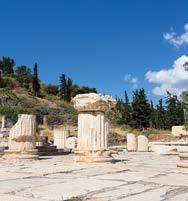 Στη συνέχεια επίσκεψη στο Αρχαιολογικό Μουσείο, όπου στις αίθουσες του παρουσιάζεται η ιστορία της Βραυρώνας και κατά ενότητες η Ιστορική εξέλιξη της περιοχής, τα μνημεία του αρχαιολογικού χώρου, η