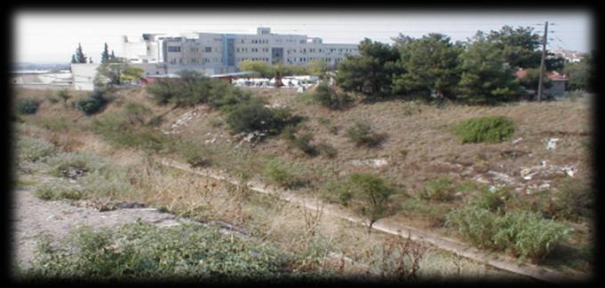 Ζνα ακόμθ ςθμαντικό φυςικό ςτοιχείο ςτθν περιοχι αποτελεί θ περιφερειακι τάφροσ που διαςχίηει τθν ανατολικι Θεςςαλονίκθ και αποτελεί το βαςικό όριο του διμου
