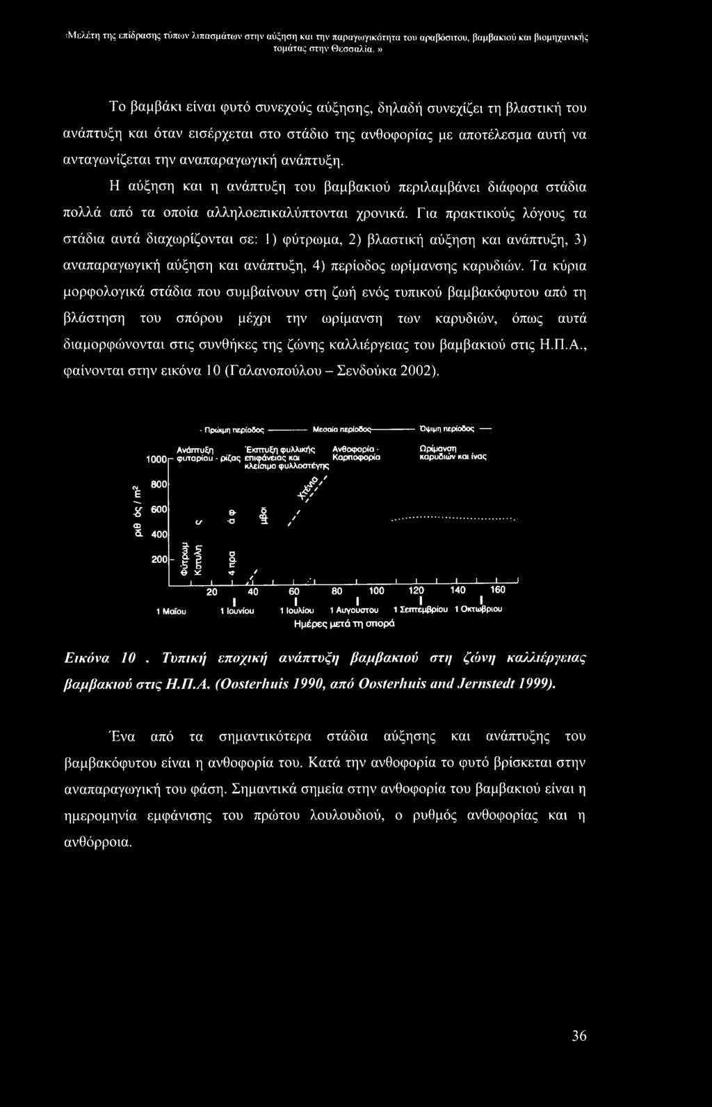 Η αύξηση και η ανάπτυξη του βαμβακιού περιλαμβάνει διάφορα στάδια πολλά από τα οποία αλληλοεπικαλύπτονται χρονικά.