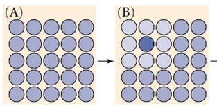 Lateral Inhibition Specification of