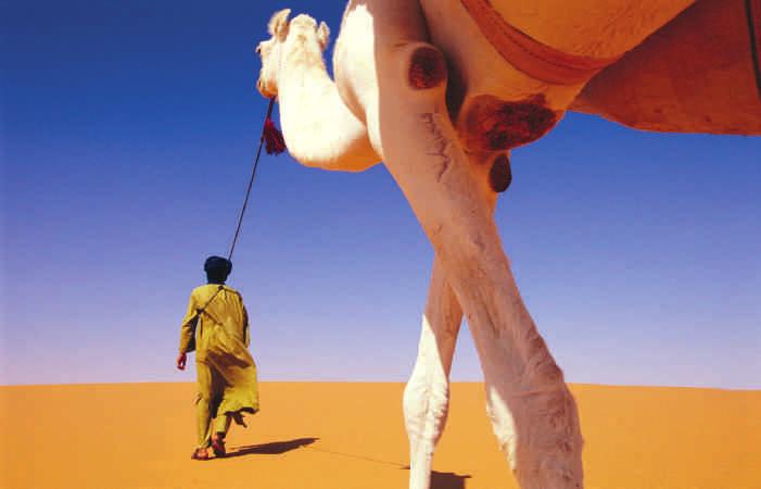 ب ب ت ت كتب وو تعلقات قبائل الطوارق الصحراء الكبرى م ب 2.6 ملار سمة عو األراض الجاة. علم البئة األراض الجاة تحت األضواء مجدد ا أدرو روبسو جد أ دراسة الماطق القاحلة وعوبها تك ع ثروات ل حصر لها.