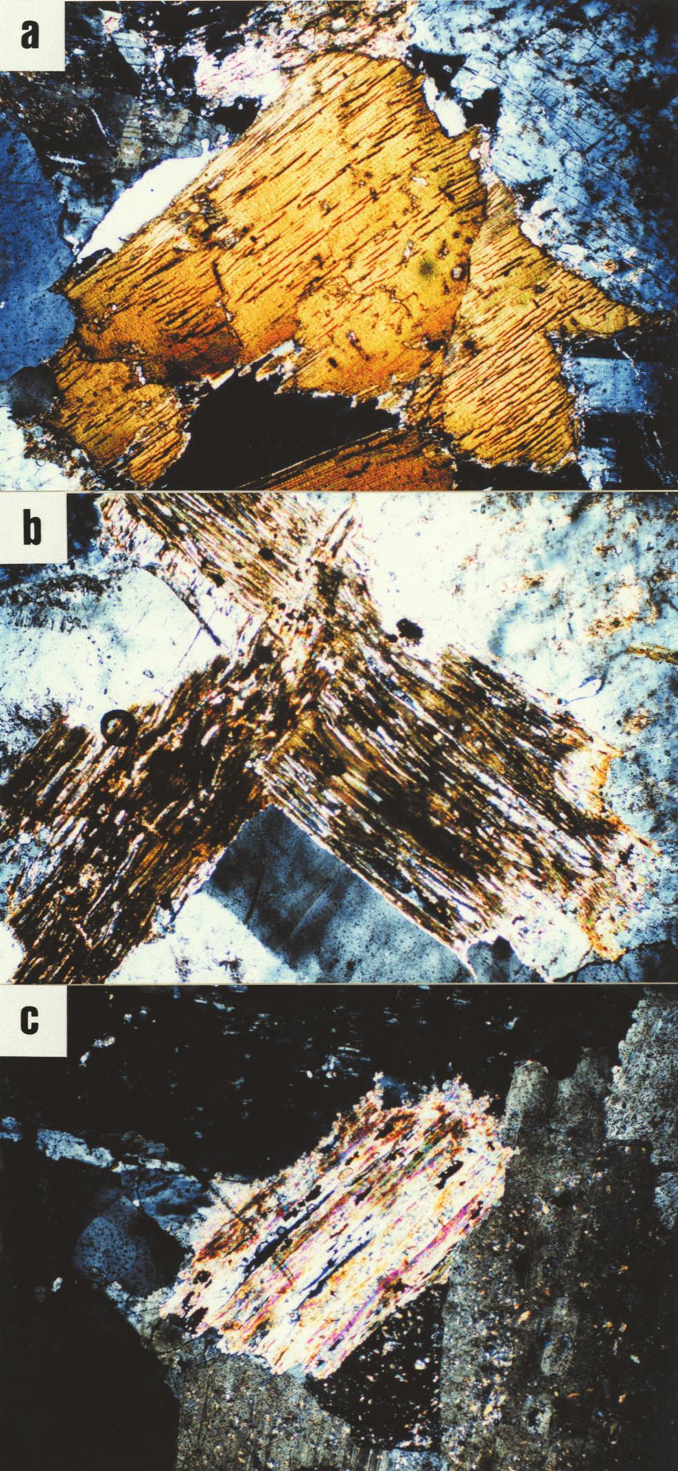 "# < '()*+, YZ [ @2ABCDC E P $ $ % & '()*+, -./0123.4 56 7Brown and Parsons, ῑ ; Lee and Parsons, ΐ ; Lee et al.