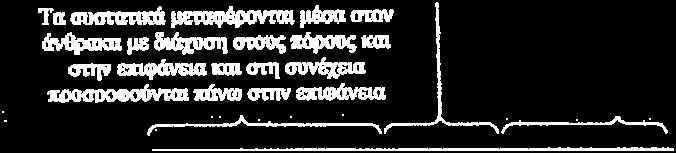 Ωστόσο, η μείωση στο μέγεθος του σωματιδίου προκειμένου να επιτευχθούν μεγάλα ποσοστά απομάκρυνσης της ρυπογόνου ουσίας από την αέρια φάση, λειτουργεί αποτελεσματικά μέχρι το σημείο που εμφανίζεται ο