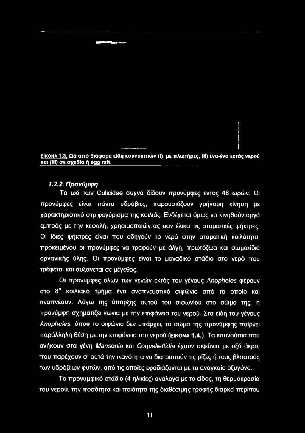 Ενδέχεται όμως να κινηθούν αργά εμπρός με την κεφαλή, χρησιμοποιώντας σαν έλικα τις στοματικές ψήκτρες.