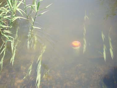 Water - Temperature - Conductivity - ph - DO, - SPM - Turbidity - Nutrients -