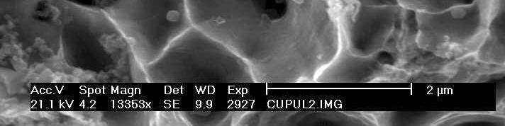 Fig.24.