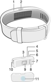Βασικά στοιχεία Εισαγωγή Το SmartBand 2 είναι ένα αξεσουάρ που συνδέεται ασύρματα μέσω Bluetooth με συσκευές Android.