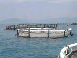 Ανεξάρτητα του τύπου του ιχθυοκλωβού, η φιλοσοφία αυτής της μορφής καλλιέργειας βασίζεται στην εκτροφή ψαριών σε δίχτυ, το οποίο είναι αναρτημένο από τον πλωτό κλωβό