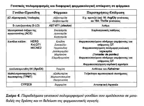 Εικόνα 8: Παραδείγματα επίδρασης γενετικών πολυμορφισμών στη δράση του φαρμάκου.