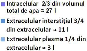 radioactivat sau bromid Volumul intracelular este calculat indirect: apa totală volumul extracelular Volumul