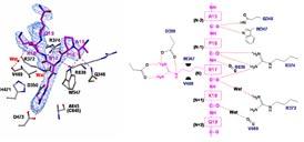 6, 7b) 10 (N-2) (N+2) 5 (N-2) (N+1) 4 PAD4 (Fig.