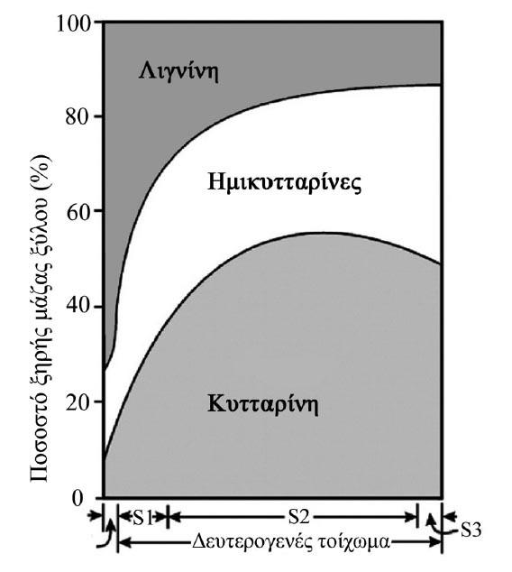 Κατανομή στα κυτταρικά τοιχώματα Σχήμα 2.4.