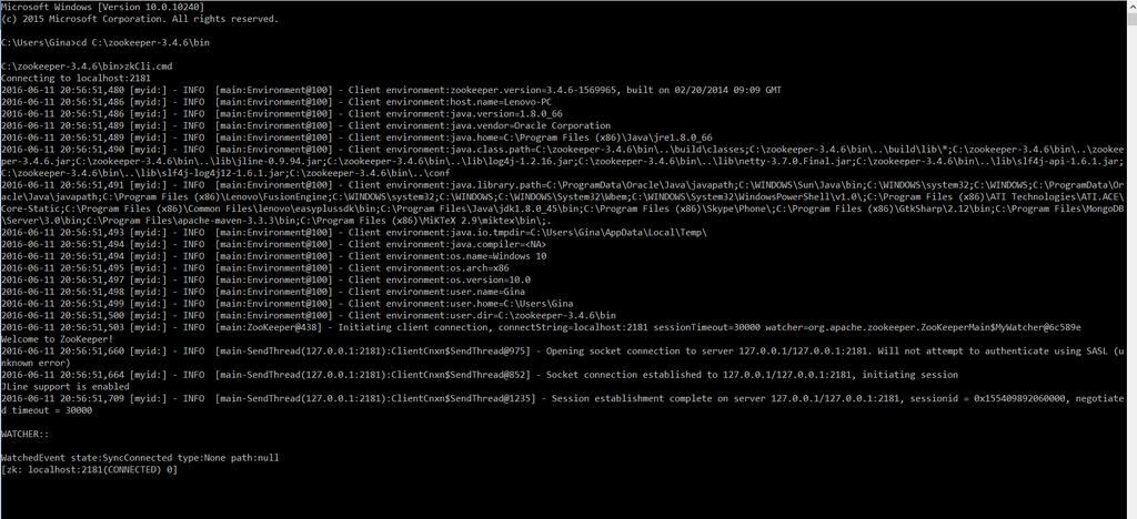 ZooKeeper Server
