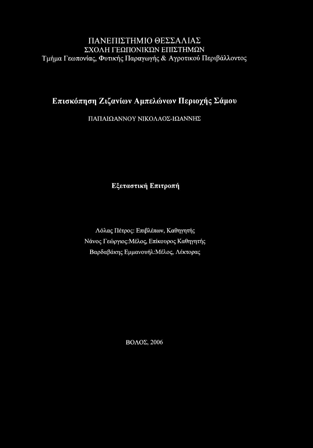ΠΑΠΑΙΩΑΝΝΟΥ ΝΙΚΟΛΑΟΣ-ΙΩΑΝΝΗΣ Εξεταστική Επιτροπή Λόλας Πέτρος: Επιβλέπων,