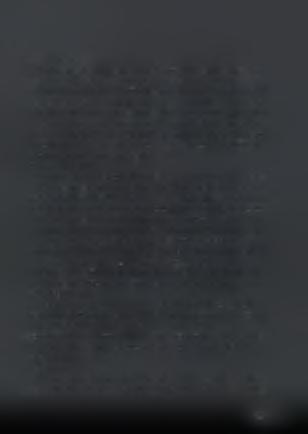 7. Γέμισμα των κουτιών Οι κατάλληλες για γέμισμα σε δοχεία ολόκληρες αποφλοιωμένες τομάτες μεταφέρονται με τη μεταφορική ταινία στο γεμιστικό μηχάνημα.