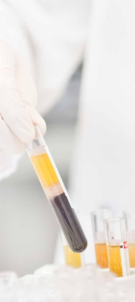 1. ΕΤΑΙΡΙΚΈΣ ΑΞΊΕΣ ΚΑΙ ΚΑΤΕΥΘΥΝΤΉΡΙΕΣ ΑΡΧΈΣ 2. ΕΠΙΧΕΙΡΗΜΑΤΙΚΉ ΑΚΕΡΑΙΌΤΗΤΑ 3. ΑΣΦΆΛΕΙΑ ΚΑΙ ΠΟΙΌΤΗΤΑ ΤΩΝ ΠΡΟΪΌΝΤΩΝ ΜΑΣ 4.
