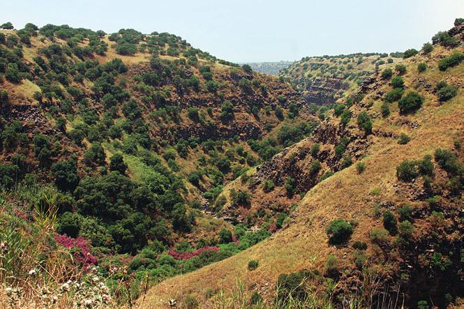 הקרן הלאומית למדע דו ח