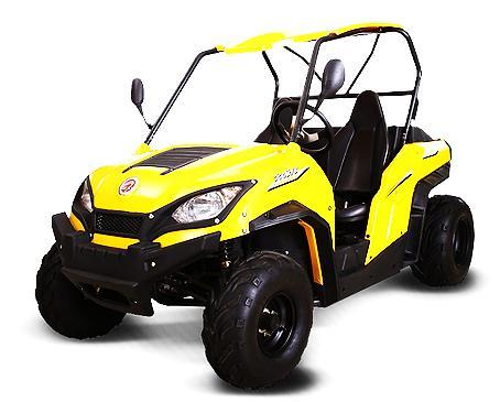GIO 200cc UTV -