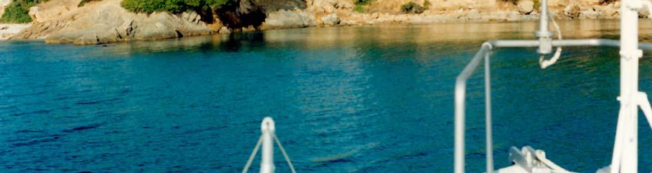 Στο μυχό του όρμου υπάρχει στενή λουρίδα αμμουδιάς και χαλικιών, ενώ δεξιά και αριστερά οι ακτές είναι απότομες.