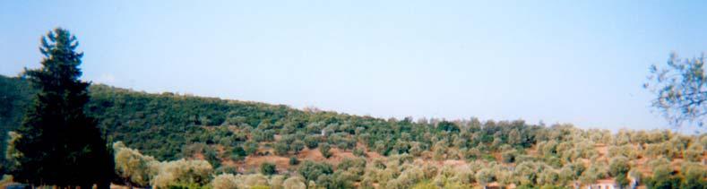 54 δυτικά του μία μικρή αποβάθρα, μήκους 5 m. Ο βυθός καλύπτεται από λεπτή άμμο και ιλύ και υπάρχουν ελάχιστες διάσπαρτες πέτρες (από ανατίναξη του κάστρου). Eικ. 18. Λιχούρα.