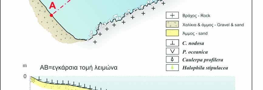 φυτοληψίας. Fig.