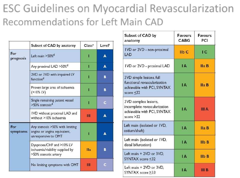 ESC Guidelines on Myocardial