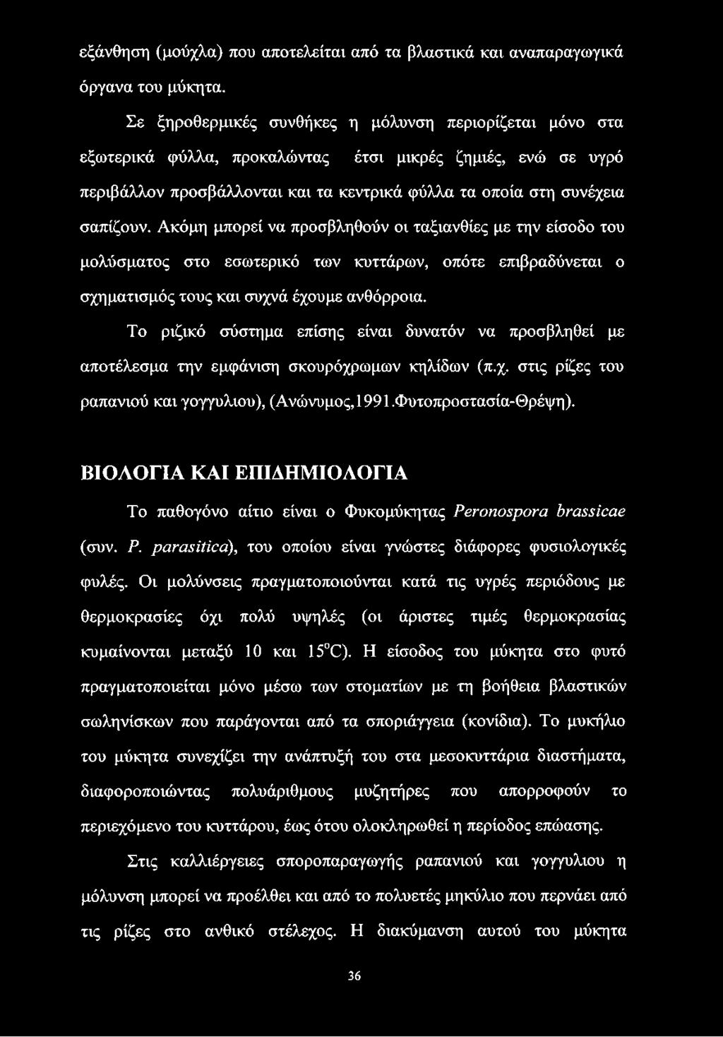 Ακόμη μπορεί να προσβληθούν οι ταξιανθίες με την είσοδο του μολύσματος στο εσωτερικό των κυττάρων, οπότε επιβραδύνεται ο σχηματισμός τους και συχνά έχουμε ανθόρροια.