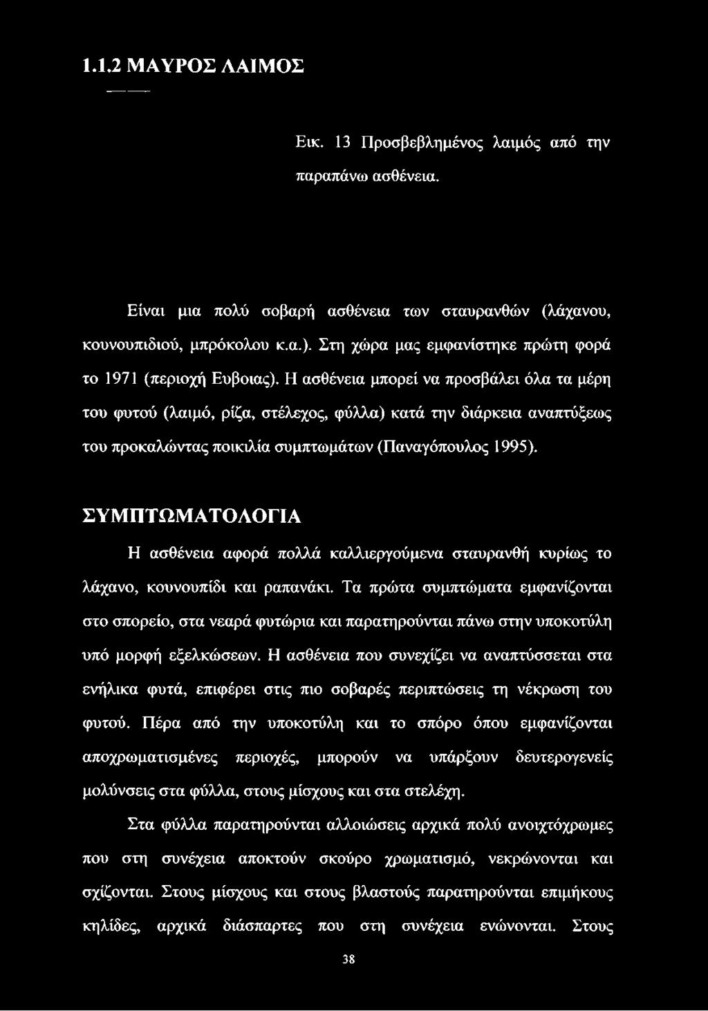 Η ασθένεια μπορεί να προσβάλει όλα τα μέρη του φυτού (λαιμό, ρίζα, στέλεχος, φύλλα) κατά την διάρκεια αναπτύξεως του προκαλώντας ποικιλία συμπτωμάτων (Παναγόπουλος 1995).