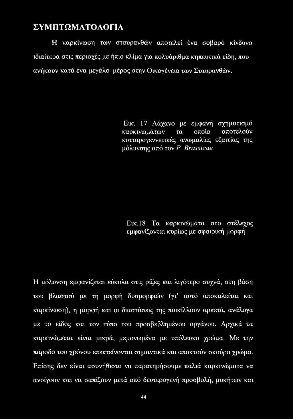 ΣΥΜΠΤΩΜΑΤΟΛΟΓΙΑ Η καρκίνωση των σταυρανθών αποτελεί ένα σοβαρό κίνδυνο ιδιαίτερα στις περιοχές με ήπιο κλίμα για πολυάριθμα κηπευτικά είδη, που ανήκουν κατά