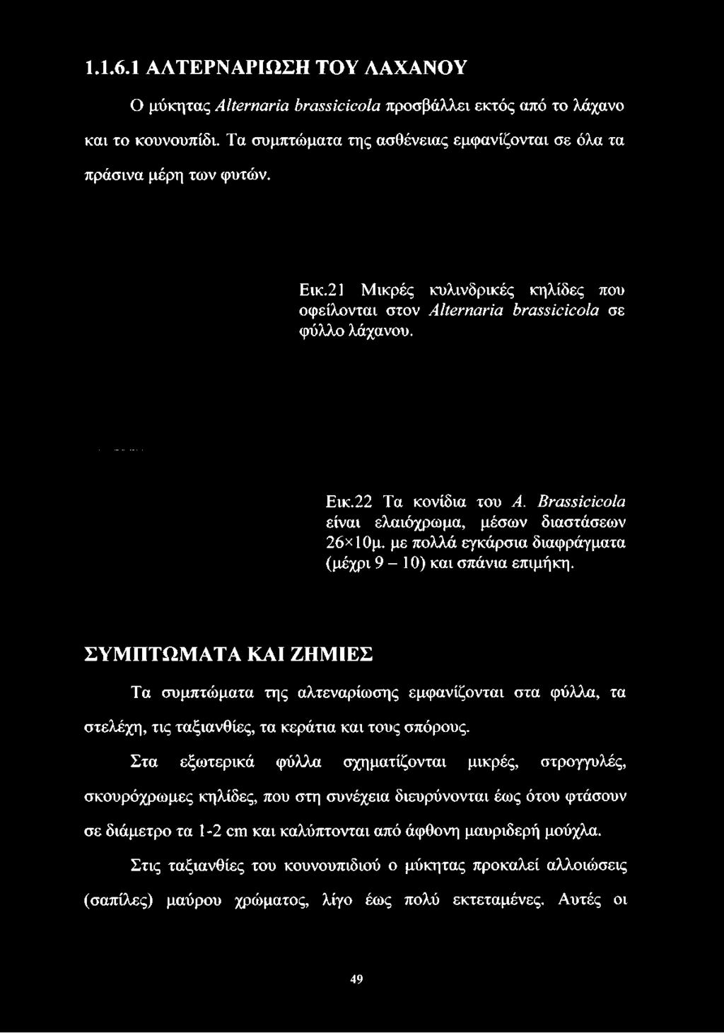 Τα συμπτώματα της ασθένειας εμφανίζονται σε όλα τα πράσινα μέρη των φυτών. Εικ.