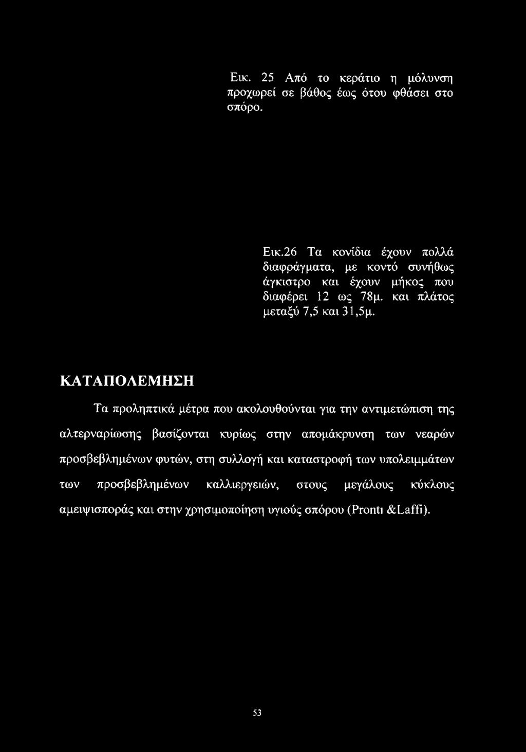 διαφέρει 12 ως 7 8 μ. και πλάτος μεταξύ 7,5 και 31,5μ.