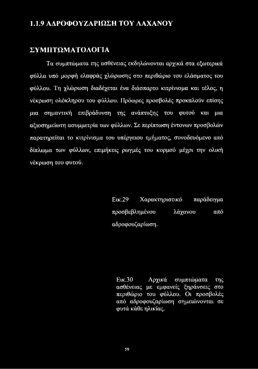 Τη χλώρωση διαδέχεται ένα διάσπαρτο κιτρίνισμα και τέλος, η νέκρωση ολόκληρου του φύλλου.