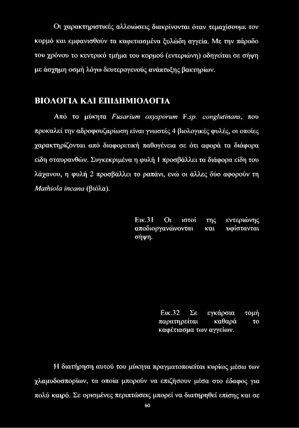 ΒΙΟΛΟΓΙΑ ΚΑΙ ΕΠΙΔΗΜΙΟΛΟΓΙΑ Από το μύκητα Fusarium oxyspo