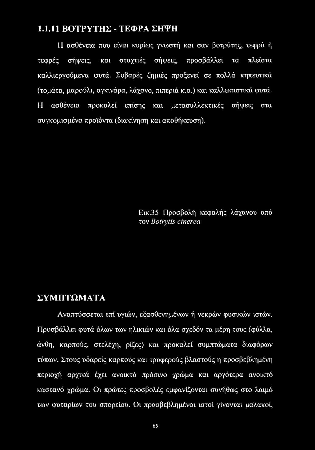 Η ασθένεια προκαλεί επίσης και μετασυλλεκτικές σήψεις στα συγκομισμένα προϊόντα (διακίνηση και αποθήκευση). Εικ.