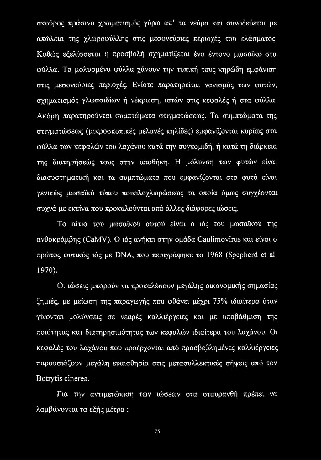 Ακόμη παρατηρούνται συμπτώματα στιγματώσεως.