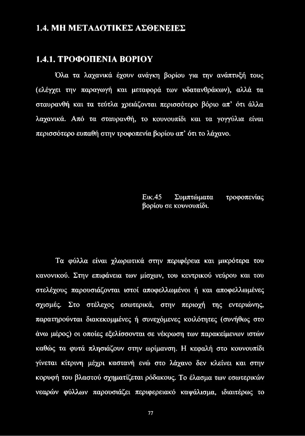 Από τα σταυρανθή, το κουνουπίδι και τα γογγύλια είναι περισσότερο ευπαθή στην τροφοπενία βορίου απ ότι το λάχανο. Εικ.45 Συμπτώματα τροφοπενίας βορίου σε κουνουπίδι.